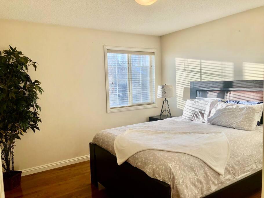 2500 Sq House In Springbank Hill Bl 261818 Villa Calgary Exterior photo